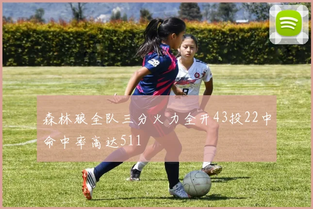 森林狼全队三分火力全开43投22中命中率高达511