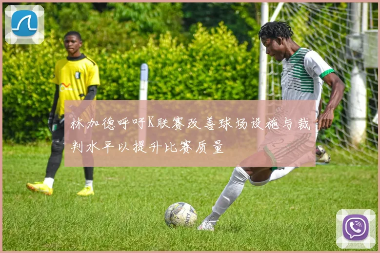 林加德呼吁K联赛改善球场设施与裁判水平以提升比赛质量