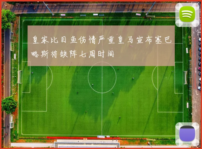 皇家比目鱼伤情严重皇马宣布塞巴略斯将缺阵七周时间